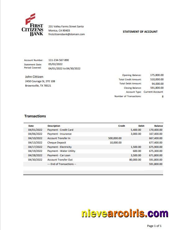 USA Texas First Citizens bank statement Word and PDF
